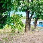 First image of 20 Mona Road in Kingston 6, St. Andrew, Jamaica - property is For Rent