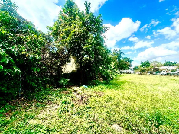 Fourth image of 20 Mona Road in Kingston 6, St. Andrew, Jamaica - property is For Rent