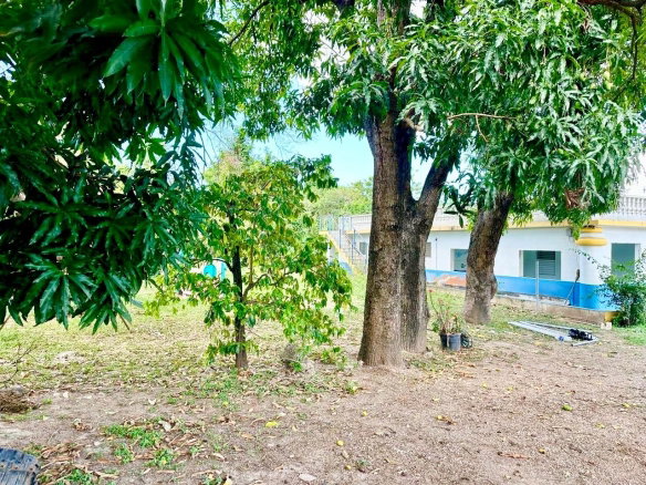 First image of 20 Mona Road in Kingston 6, St. Andrew, Jamaica - property is For Rent