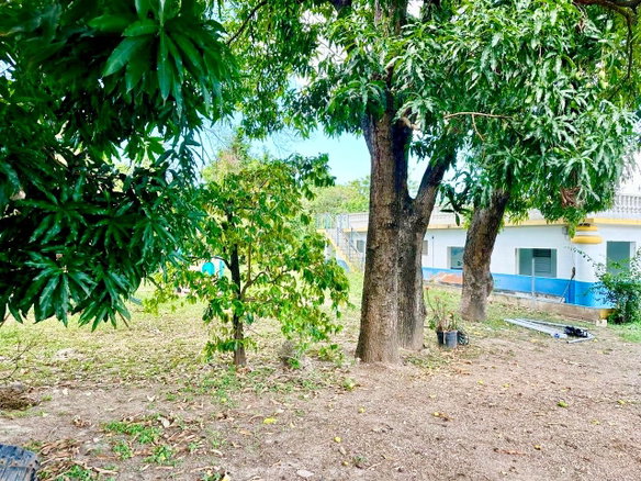 First image of 20 Mona Road in Kingston 6, St. Andrew, Jamaica - property is For Rent