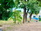 First image of 20 Mona Road in Kingston 6, St. Andrew, Jamaica - property is For Rent