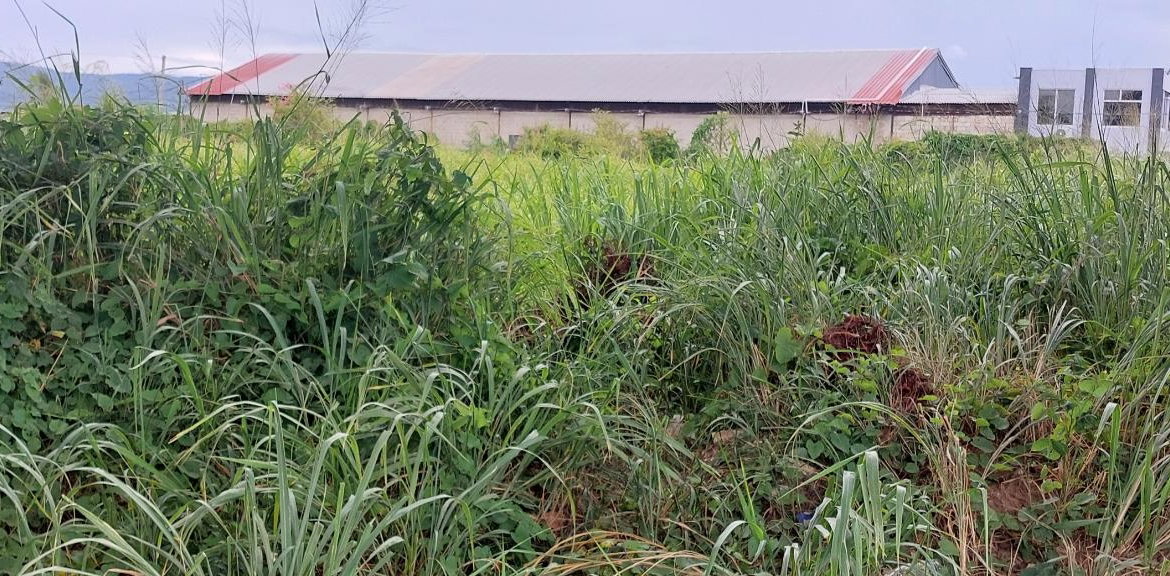 Second image of 59 Old Harbour Road in Old Harbour, St. Catherine, Jamaica - property is For Rent