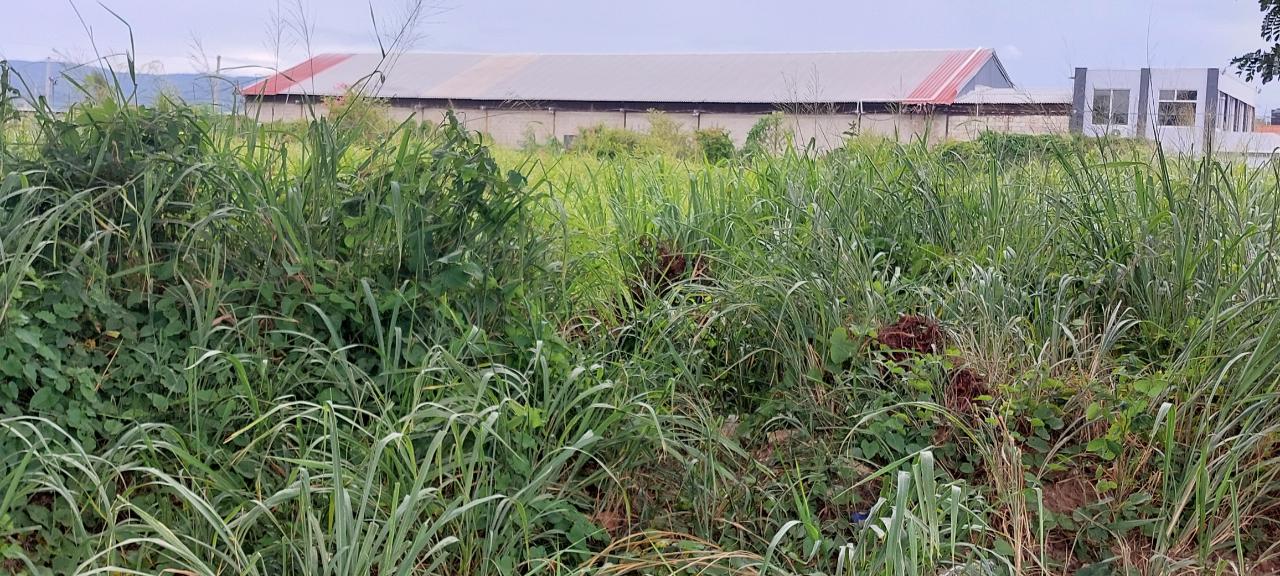 Second image of 59 Old Harbour Road in Old Harbour, St. Catherine, Jamaica - property is For Rent