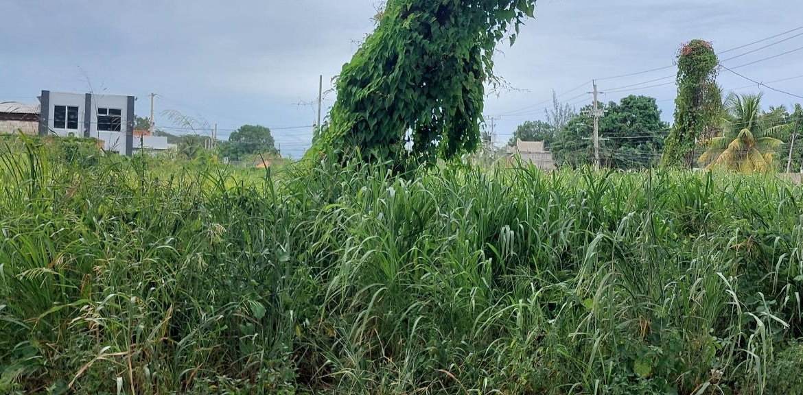 Fourth image of 59 Old Harbour Road in Old Harbour, St. Catherine, Jamaica - property is For Rent