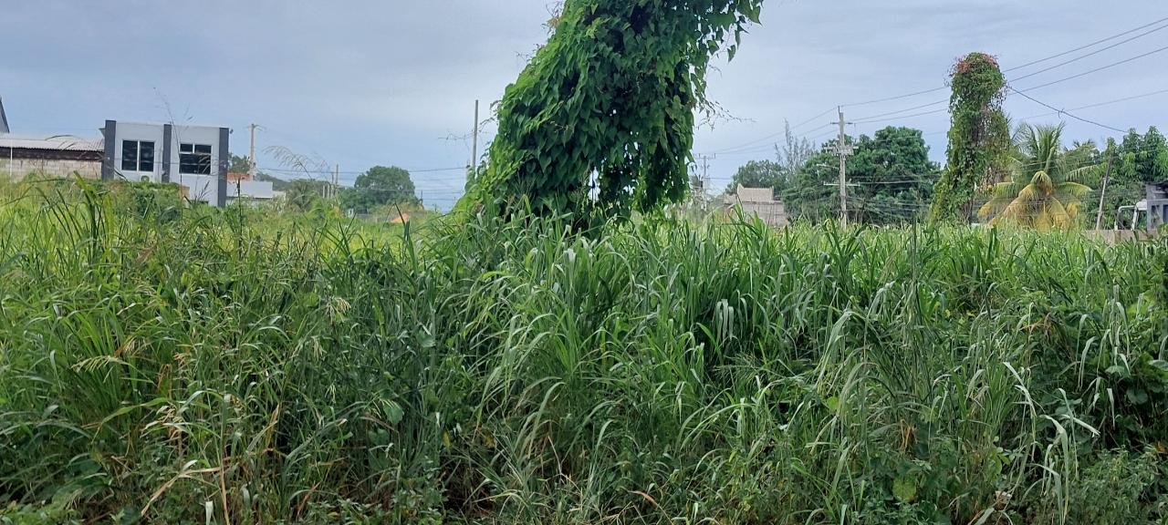 Fourth image of 59 Old Harbour Road in Old Harbour, St. Catherine, Jamaica - property is For Rent