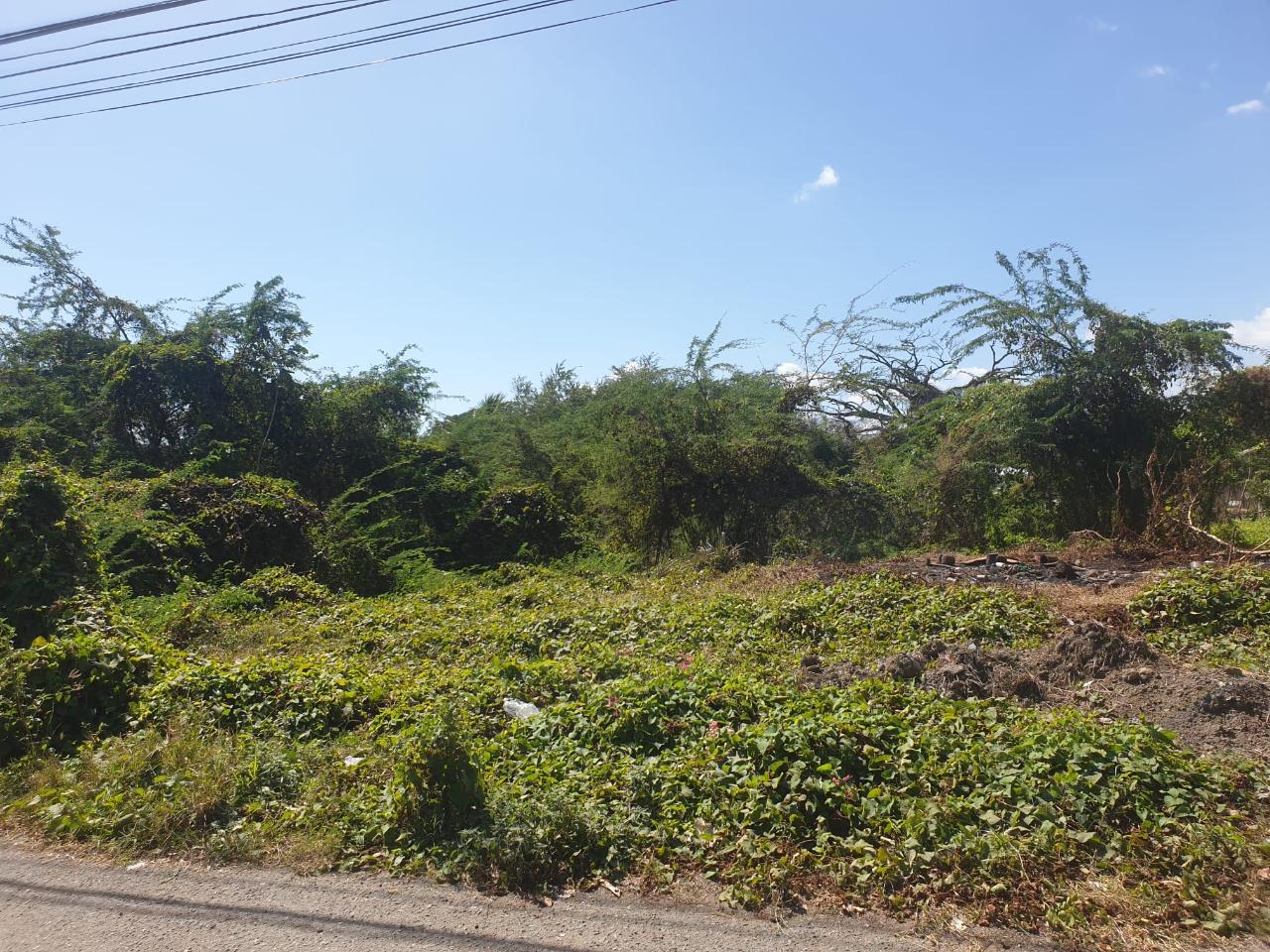 Prime-Commercial-Land-for-Sale-in-Four-Paths-Clarendon-Jamaica Second image of Four Paths Clarendon in Four Paths, Clarendon, Jamaica - property is For Sale