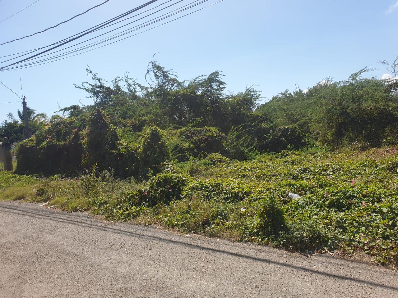 Prime-Commercial-Land-for-Sale-in-Four-Paths-Clarendon-Jamaica Third image of Four Paths Clarendon in Four Paths, Clarendon, Jamaica - property is For Sale