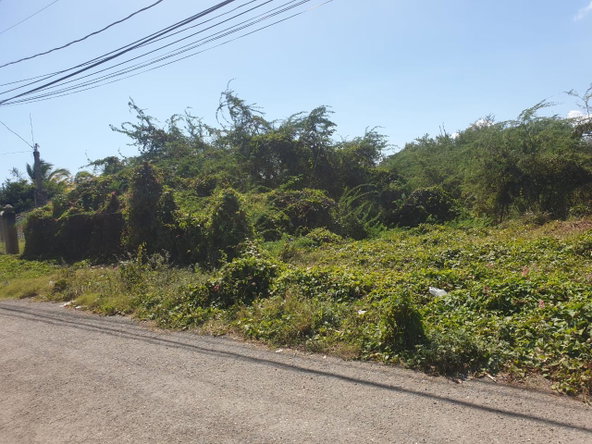 Third image of Four Paths Clarendon in Four Paths, Clarendon, Jamaica - property is For Sale
