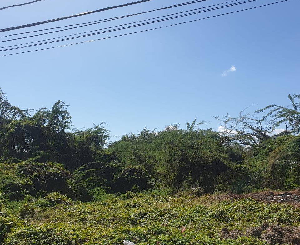 Fourth image of Four Paths Clarendon in Four Paths, Clarendon, Jamaica - property is For Sale