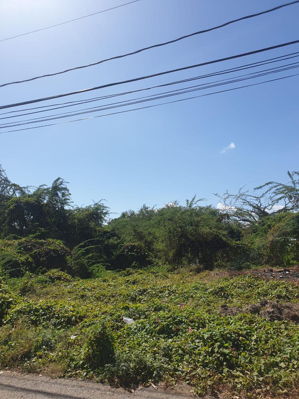 Prime-Commercial-Land-for-Sale-in-Four-Paths-Clarendon-Jamaica Fourth image of Four Paths Clarendon in Four Paths, Clarendon, Jamaica - property is For Sale