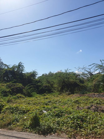 Fourth image of Four Paths Clarendon in Four Paths, Clarendon, Jamaica - property is For Sale