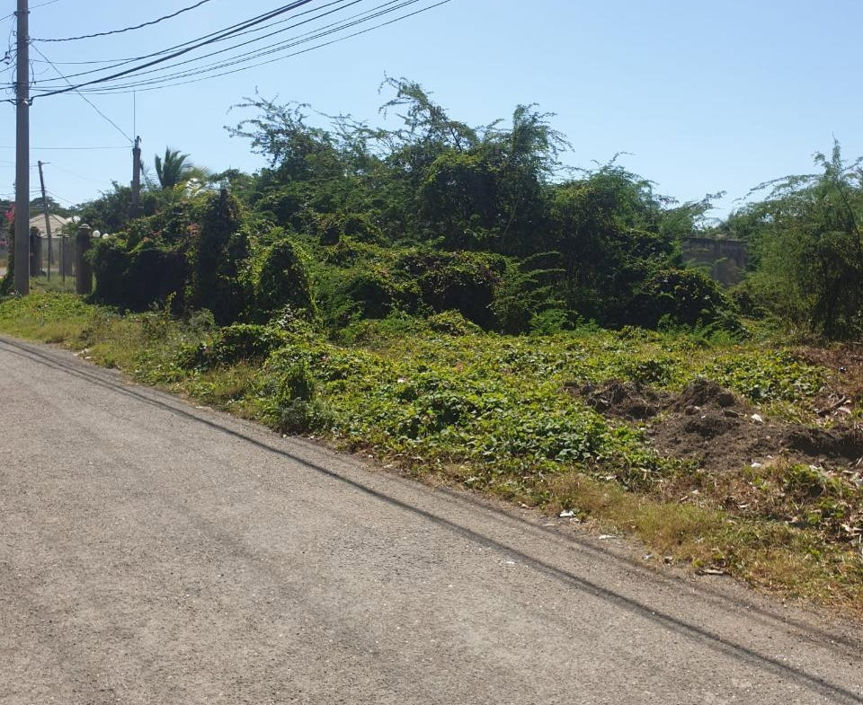 Sixth image of Four Paths Clarendon in Four Paths, Clarendon, Jamaica - property is For Sale