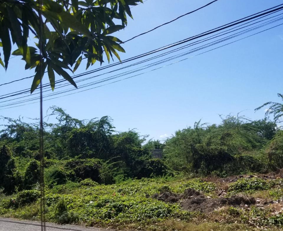 Seventh image of Four Paths Clarendon in Four Paths, Clarendon, Jamaica - property is For Sale