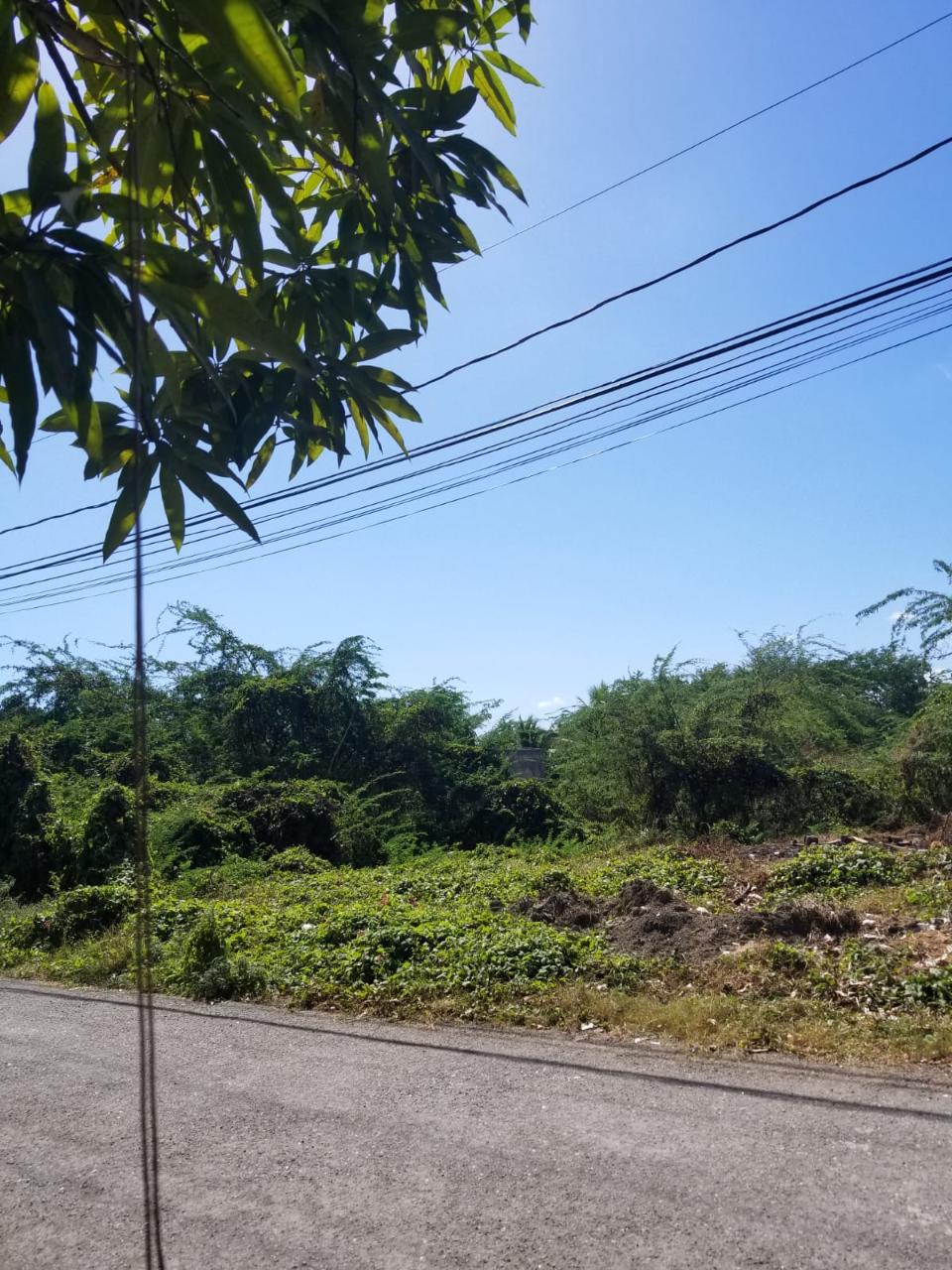 Prime-Commercial-Land-for-Sale-in-Four-Paths-Clarendon-Jamaica Seventh image of Four Paths Clarendon in Four Paths, Clarendon, Jamaica - property is For Sale