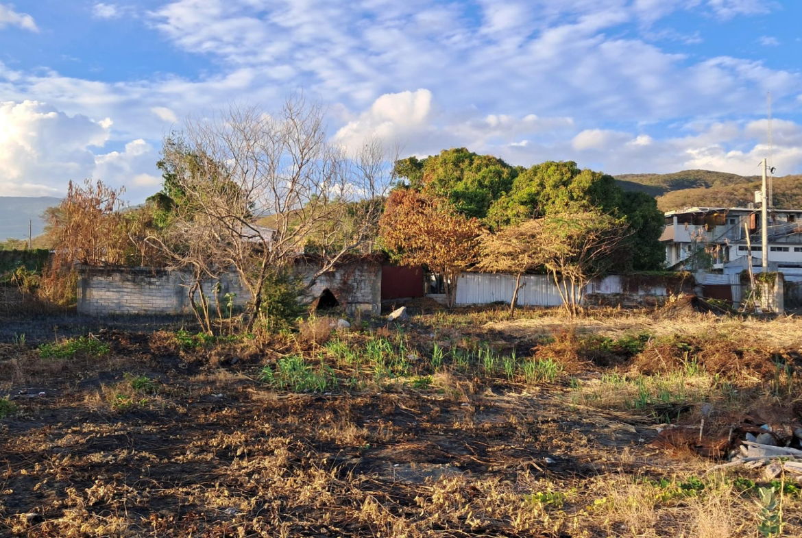 Fourth image of Yallahs Main Road in Yallahs, St. Thomas, Jamaica - property is For Rent