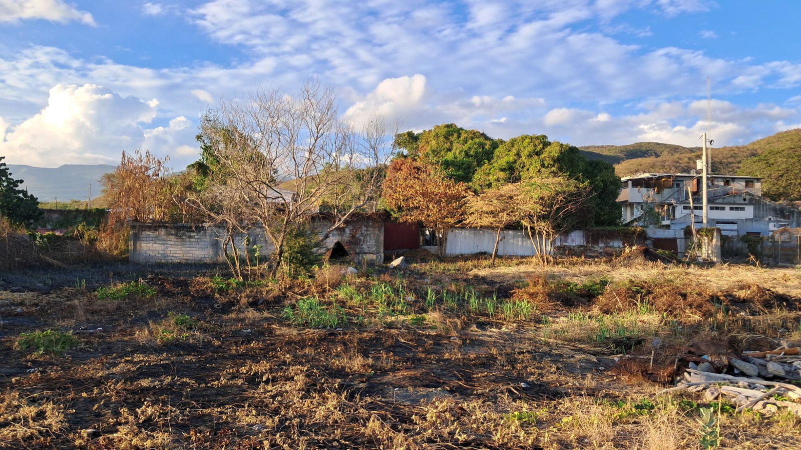 Fourth image of Yallahs Main Road in Yallahs, St. Thomas, Jamaica - property is For Rent