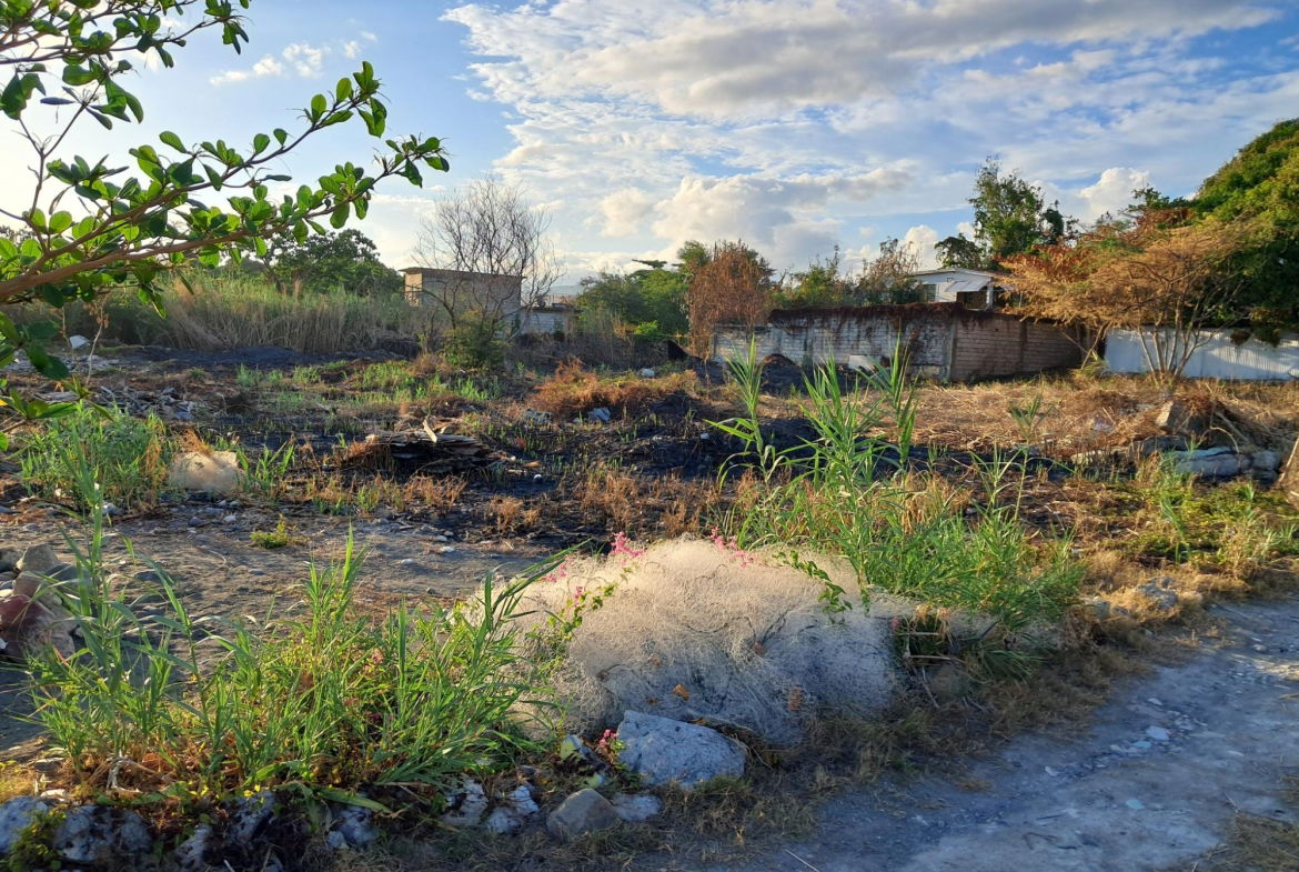 Ninth image of Yallahs Main Road in Yallahs, St. Thomas, Jamaica - property is For Rent