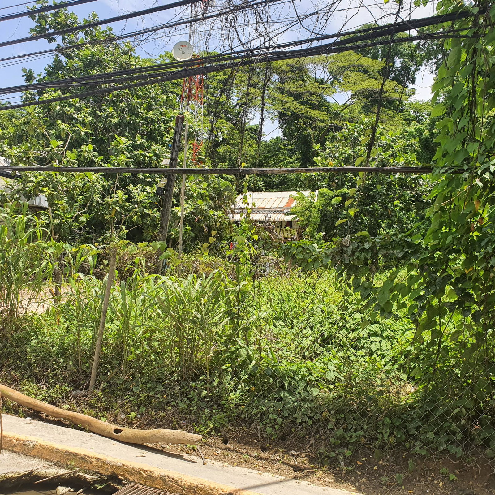 Third image of Cressers Lane Lucea in Lucea, Hanover, Jamaica - property is For Sale