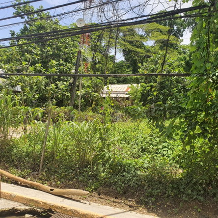 Third image of Cressers Lane Lucea in Lucea, Hanover, Jamaica - property is For Sale