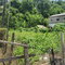 First image of Cressers Lane Lucea in Lucea, Hanover, Jamaica - property is For Sale