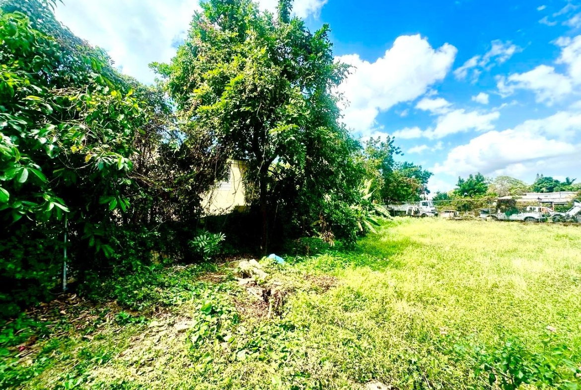 Fifth image of 20 Mona Road in Kingston 6, St. Andrew, Jamaica - property is For Sale