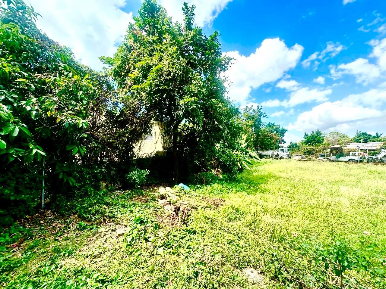 Fifth image of 20 Mona Road in Kingston 6, St. Andrew, Jamaica - property is For Sale