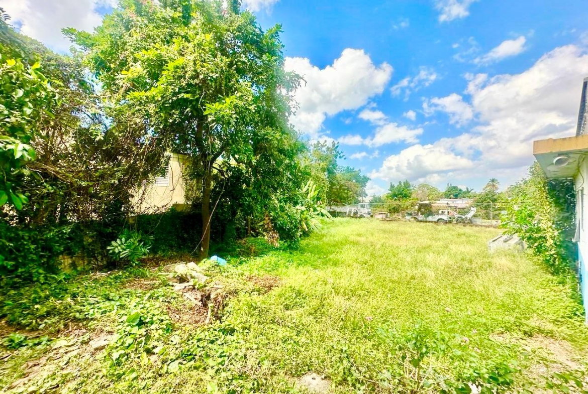 Sixth image of 20 Mona Road in Kingston 6, St. Andrew, Jamaica - property is For Sale