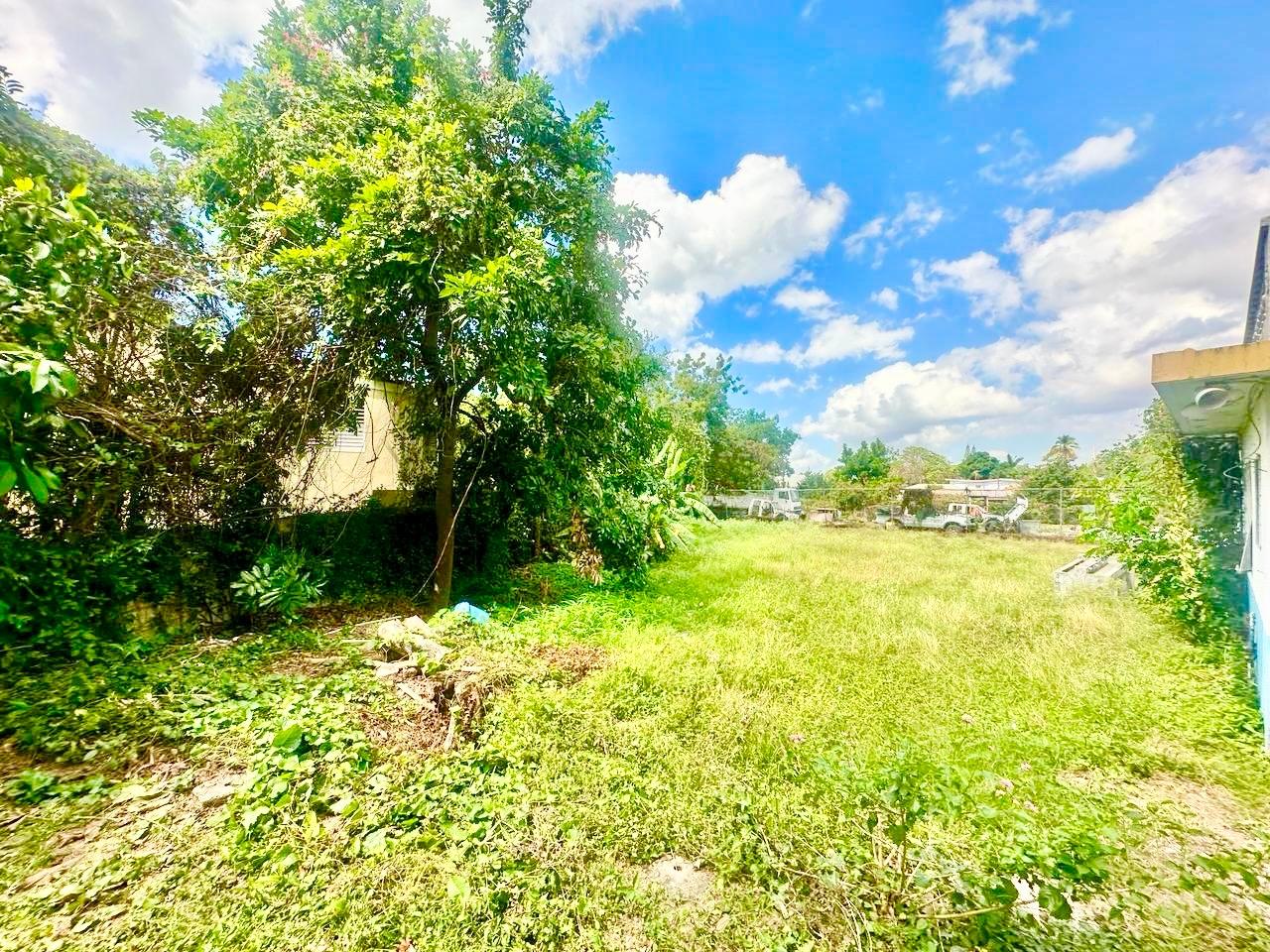 Sixth image of 20 Mona Road in Kingston 6, St. Andrew, Jamaica - property is For Sale