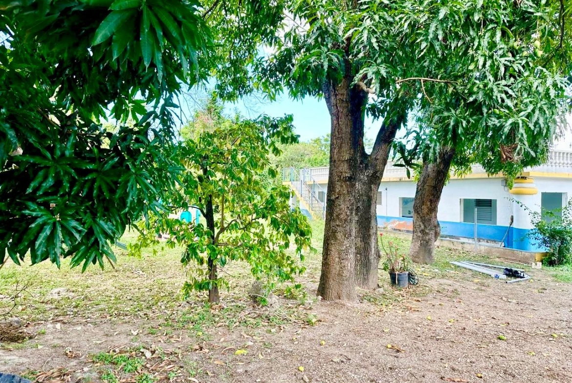 Ninth image of 20 Mona Road in Kingston 6, St. Andrew, Jamaica - property is For Sale