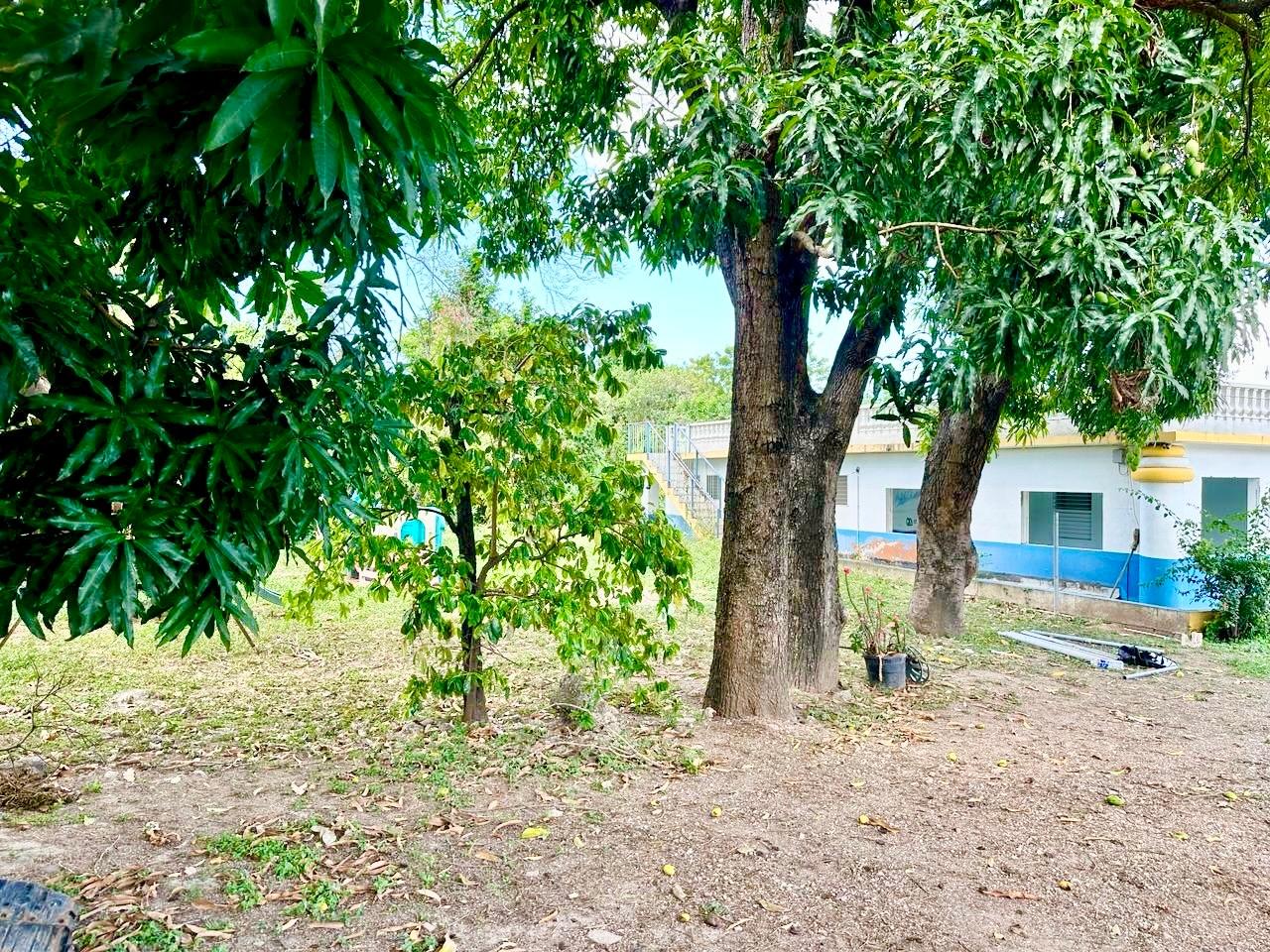 Ninth image of 20 Mona Road in Kingston 6, St. Andrew, Jamaica - property is For Sale