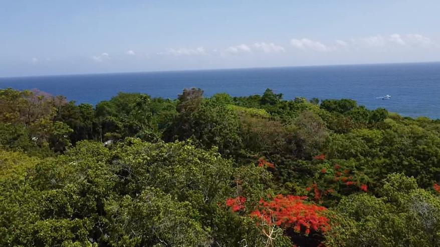 Seventh image of Tower Isle, Prospect in Tower Isle, St. Mary, Jamaica - property is For Sale