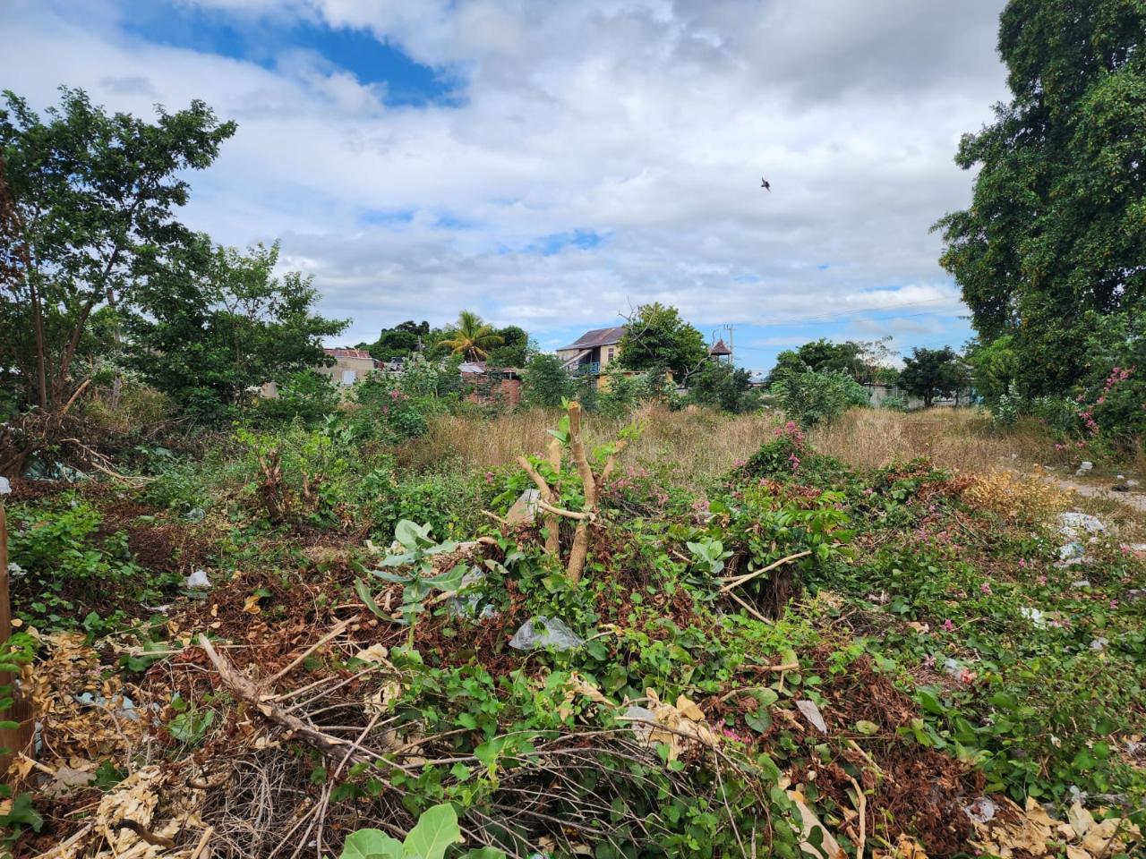 Prime-Commercial-Lot-for-Sale-on-Duke-Street-Kingston-Jamaica Second image of 1b New North Street in Downtown Kingston, Kingston, Jamaica - property is For Sale