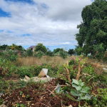 First image of 1b New North Street in Downtown Kingston, Kingston, Jamaica - property is For Sale