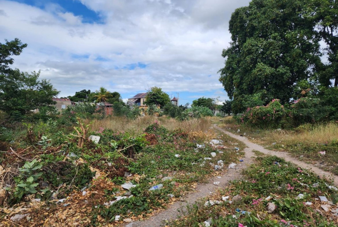 Third image of 1b New North Street in Downtown Kingston, Kingston, Jamaica - property is For Sale