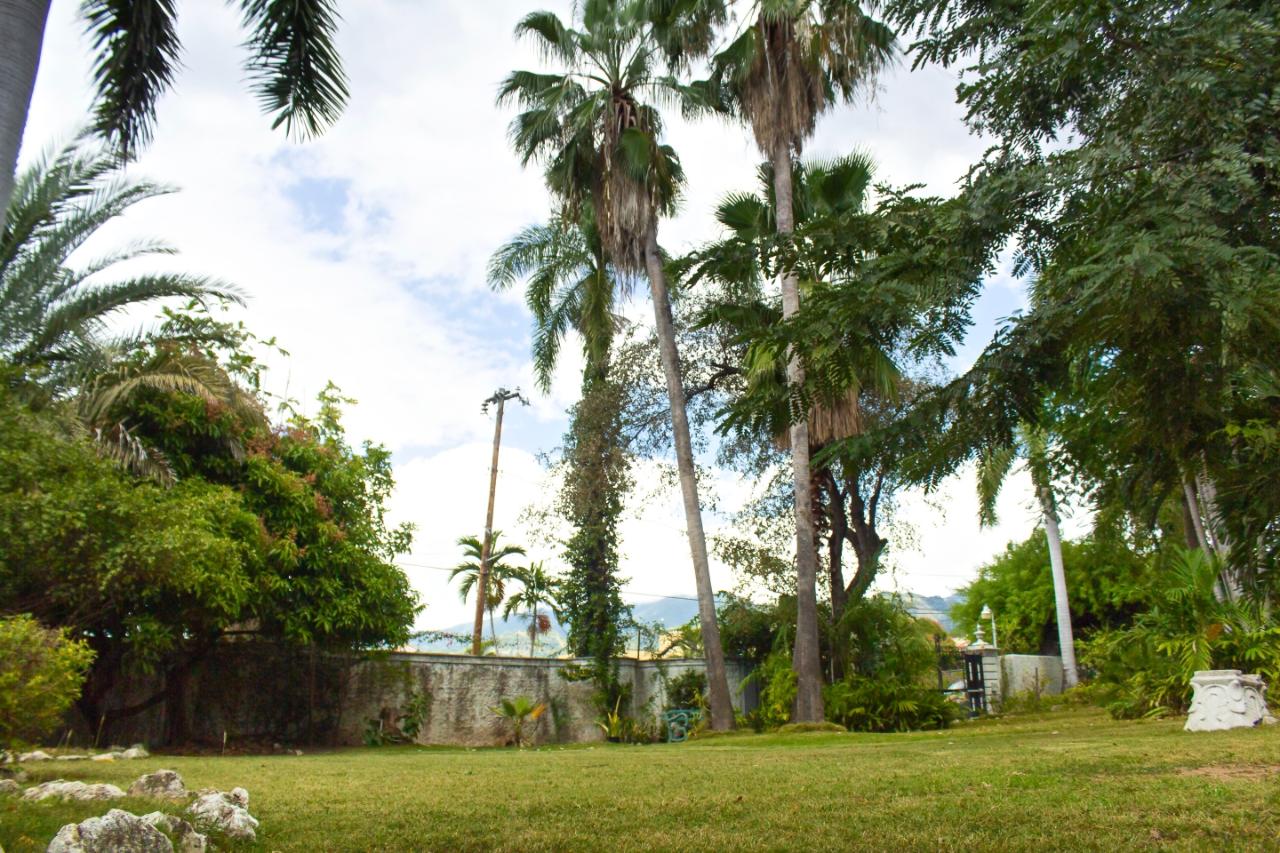 Sixth image of 4a Waterloo Road in Kingston 10, St. Andrew, Jamaica - property is For Sale