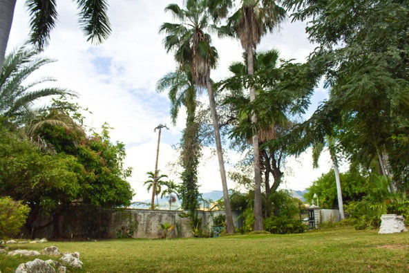 Sixth image of 4a Waterloo Road in Kingston 10, St. Andrew, Jamaica - property is For Sale