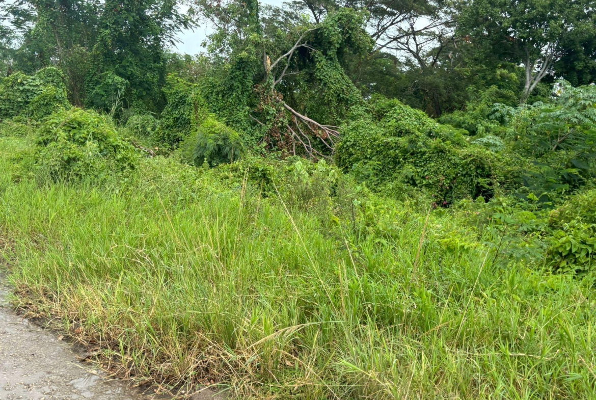 First image of Four Paths/denbigh in Four Paths, Clarendon, Jamaica - property is For Sale