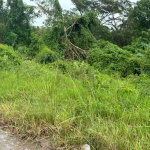 First image of Four Paths/denbigh in Four Paths, Clarendon, Jamaica - property is For Sale