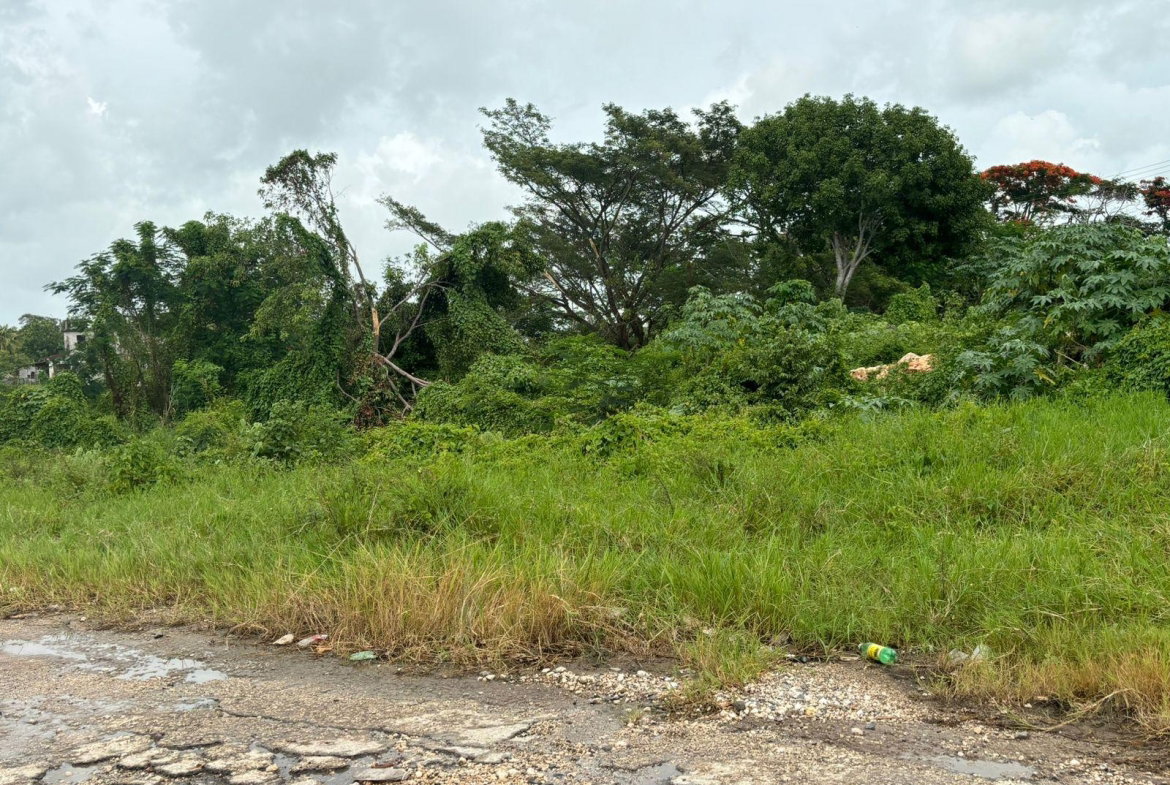 Fourth image of Four Paths/denbigh in Four Paths, Clarendon, Jamaica - property is For Sale
