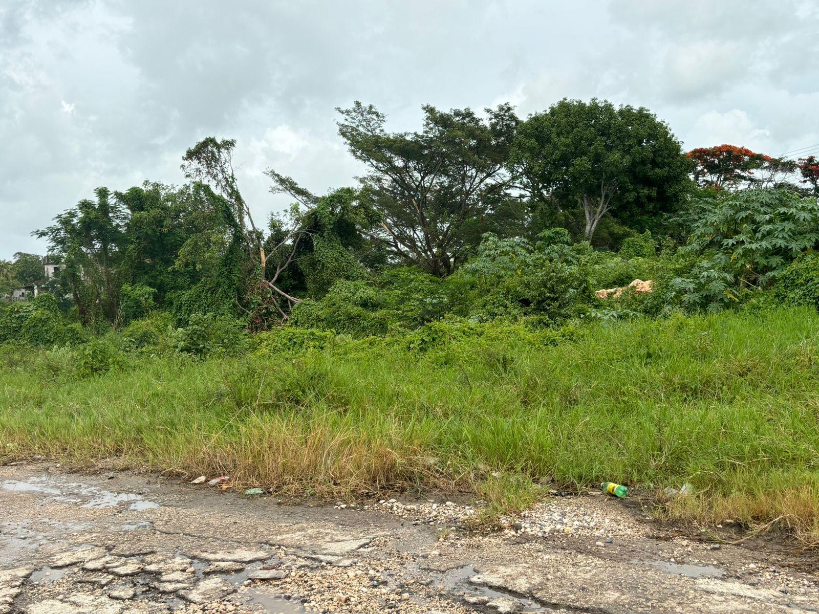 Fourth image of Four Paths/denbigh in Four Paths, Clarendon, Jamaica - property is For Sale
