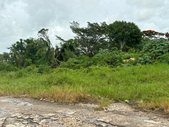 Fourth image of Four Paths/denbigh in Four Paths, Clarendon, Jamaica - property is For Sale