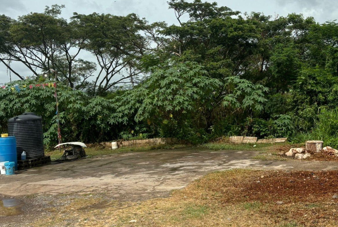 Sixth image of Four Paths/denbigh in Four Paths, Clarendon, Jamaica - property is For Sale