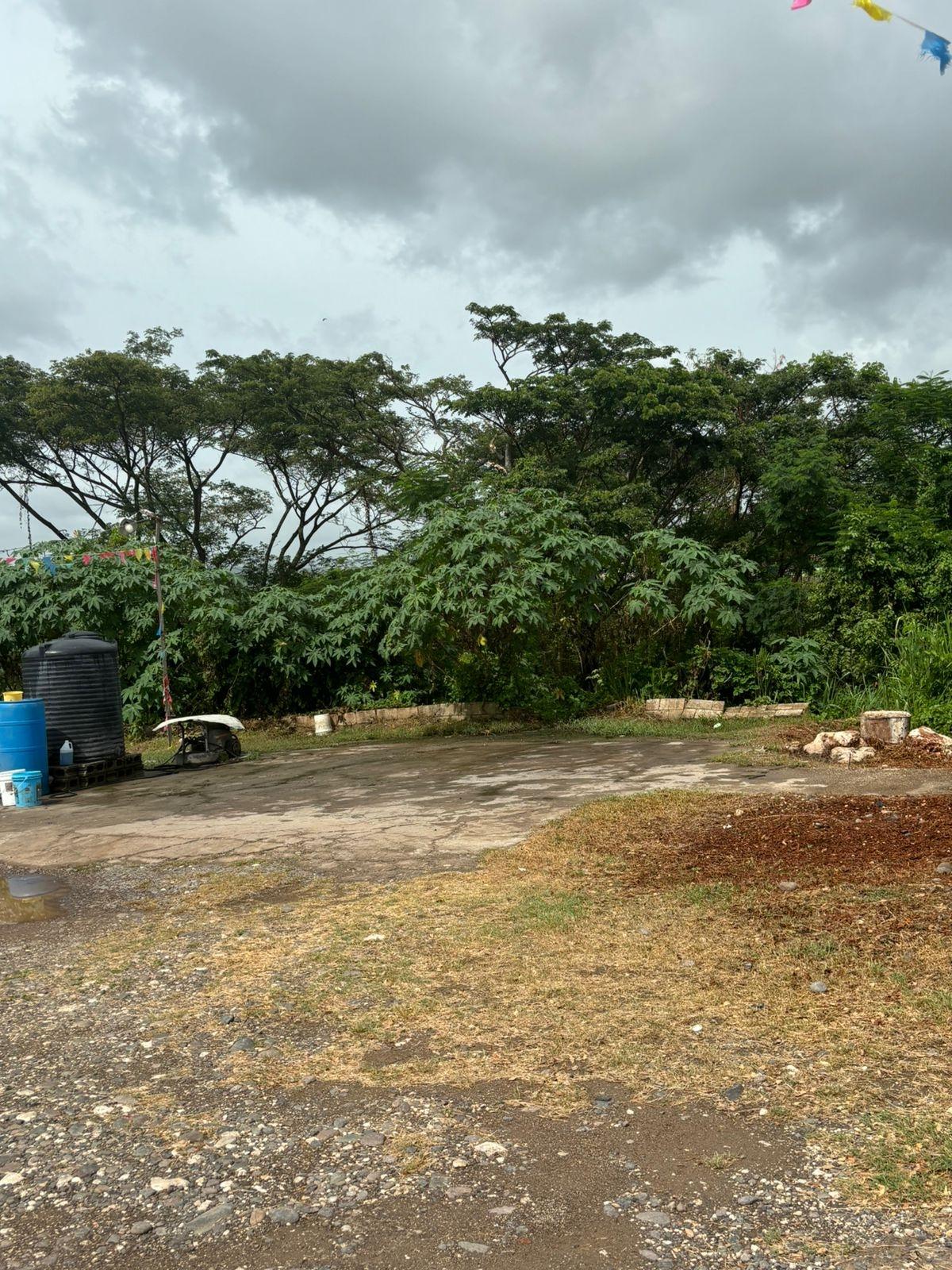 Sixth image of Four Paths/denbigh in Four Paths, Clarendon, Jamaica - property is For Sale