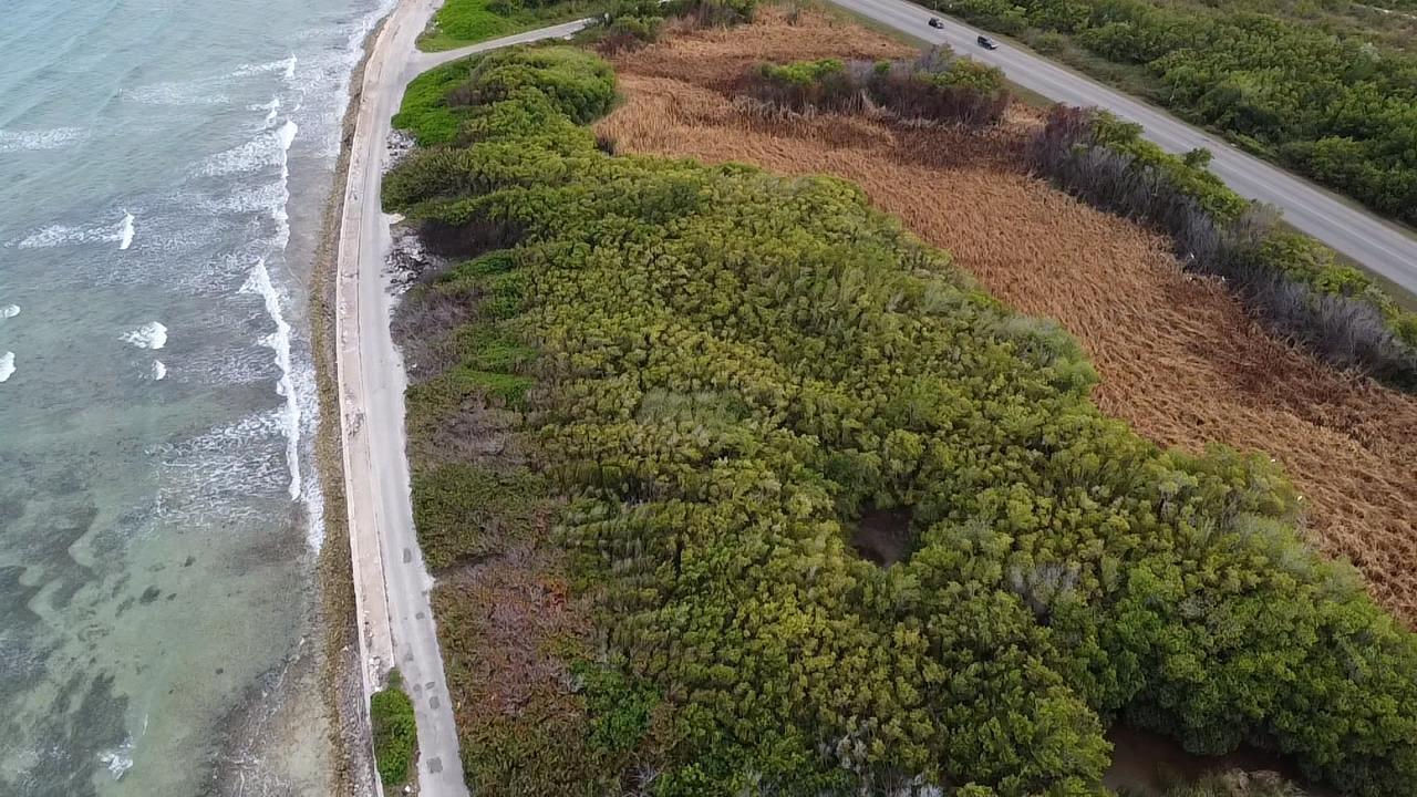 Fifth image of Trelawny Coast Road in Falmouth, Trelawny, Jamaica - property is For Sale