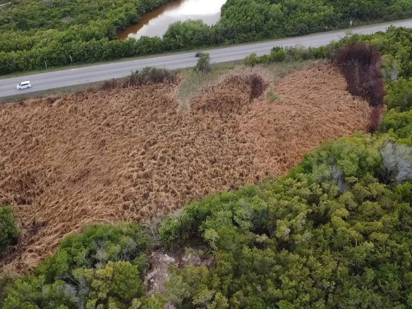 First image of Trelawny Coast Road in Falmouth, Trelawny, Jamaica - property is For Sale