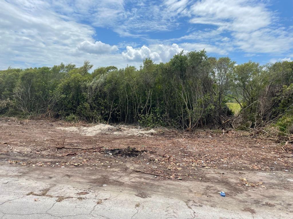 Eighth image of Trelawny Coast Road in Falmouth, Trelawny, Jamaica - property is For Sale