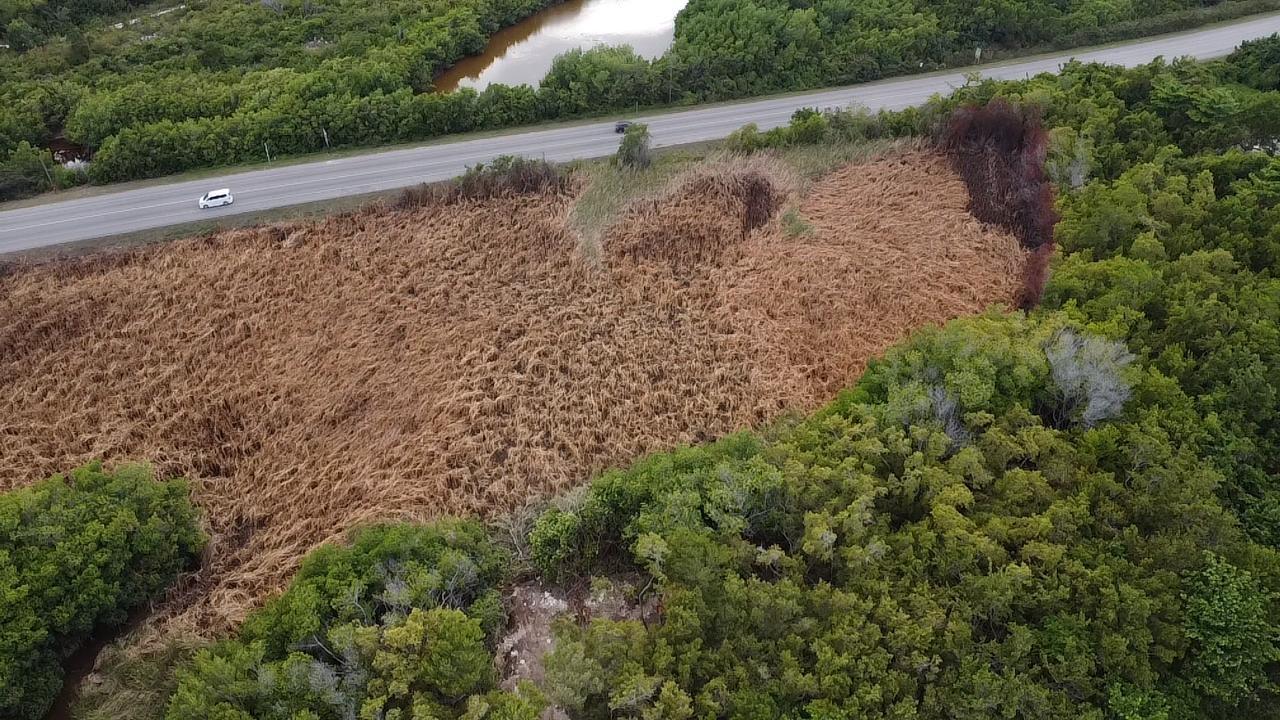 First image of Trelawny Coast Road in Falmouth, Trelawny, Jamaica - property is For Sale