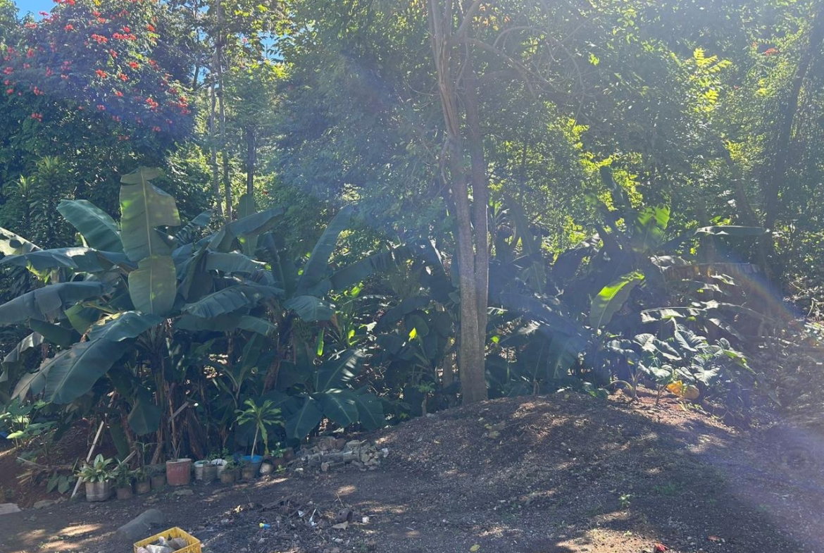 First image of 7 Wesley rd in Mandeville, Manchester, Jamaica - property is For Sale