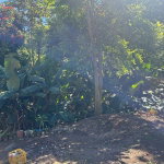 First image of 7 Wesley rd in Mandeville, Manchester, Jamaica - property is For Sale