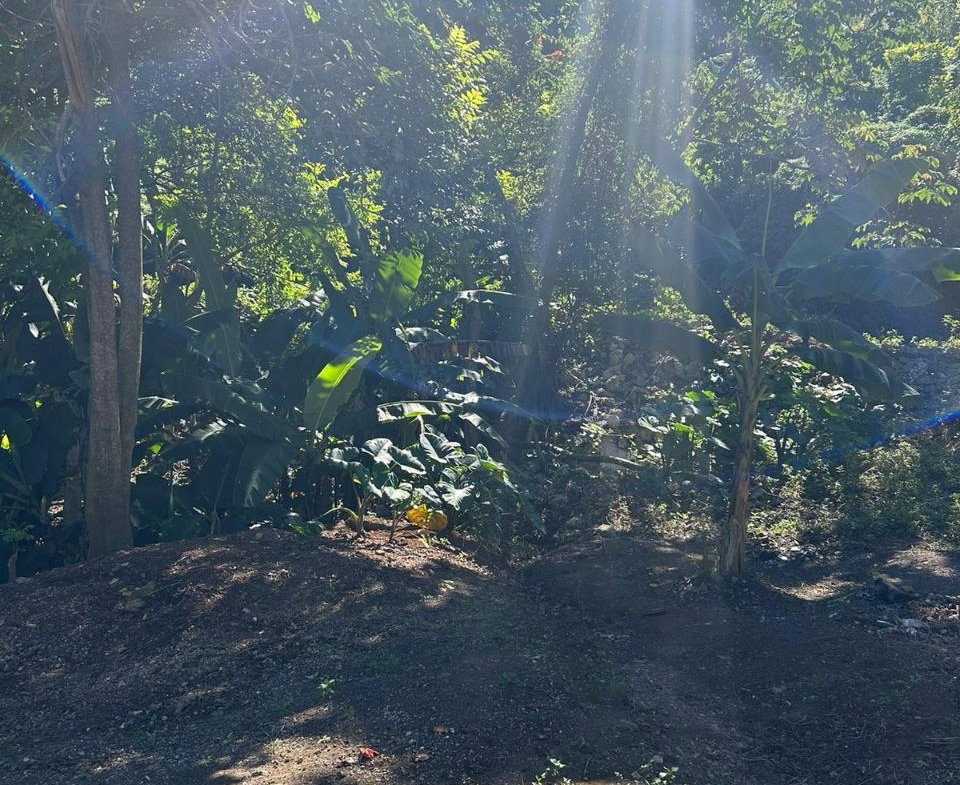Fifth image of 7 Wesley rd in Mandeville, Manchester, Jamaica - property is For Sale
